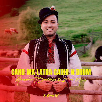 Alexandru Brădăţan & Zeno Music - Cand Ma Latra Cainii-N Drum (Remix)