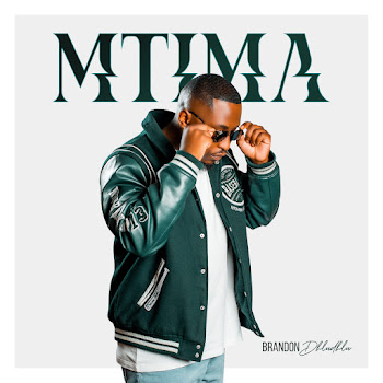 Brandon Dhludhlu - Imizwa (Feat. Da Gifto & Viwo Kulati)