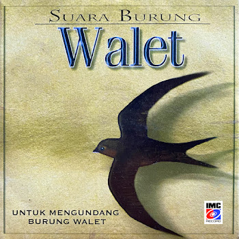 Burung Juara Imc - Suara Burung Walet (Kicau Mengundang Burung Walet)
