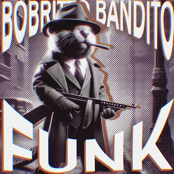Dj Rio Funk - Bobritto Bandito Funk ft Oxyzenk & Pxlterror