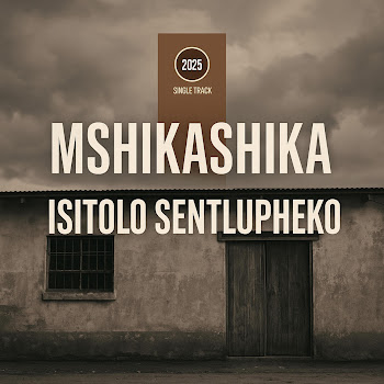 Dlamini Shika's Mshikashika - Istolo Sentlupheko