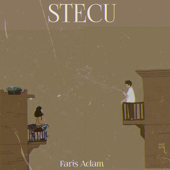 Faris Adan - Stecu (Special Version Audio)