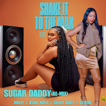 Iesha Nova - Shake It To The Max (Sugar Daddy Re-Mix) Fly (Dj Roh Remix) (Feat. Moliy & Dj Roh)