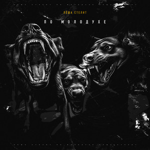 Лёша Стелит - По Молодухе