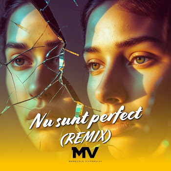 Manelele Viitorului - Nu Sunt Perfect (Remix)