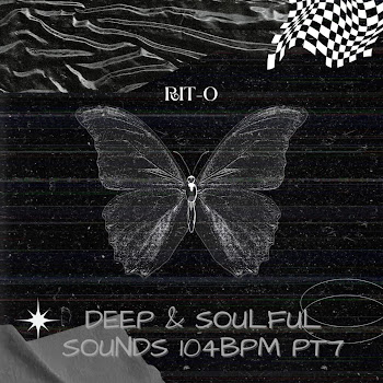Rit-O - Deep & Soulful Sounds 104Bpm Pt7