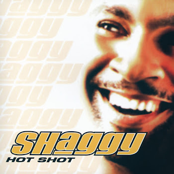 Shaggy - It Wasn't Me (Feat. Ricardo Ducent)