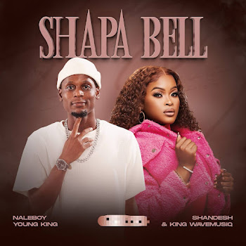 Shandesh - Shapa Bell (Feat. King Wavemusiq) ft Naleboy Young King