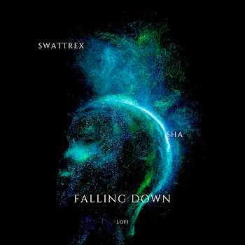 Swattrex - Falling Down Lofi ft Sha