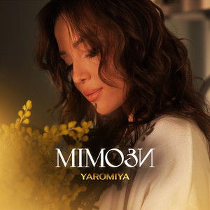 Мімози - Yaromiya