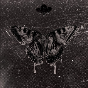 Yusuf Ekşioğlu - Dora