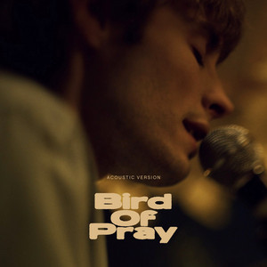 Ziferblat - Bird Of Pray Acoustic Version