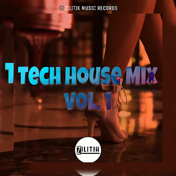 Zilitik - Tech House Mix 2025 (Vol. 1)